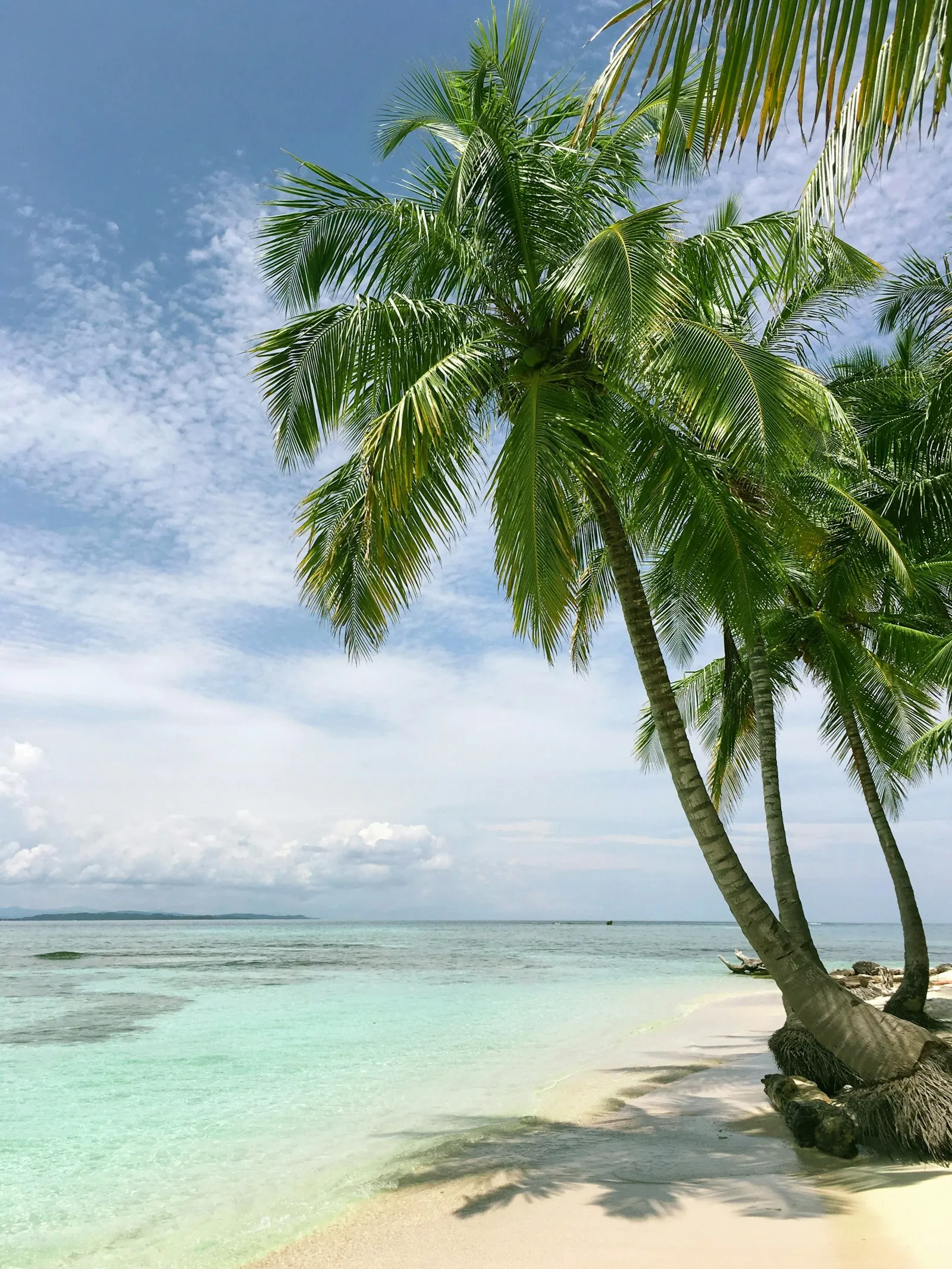 Best Time to Visit St. Barts