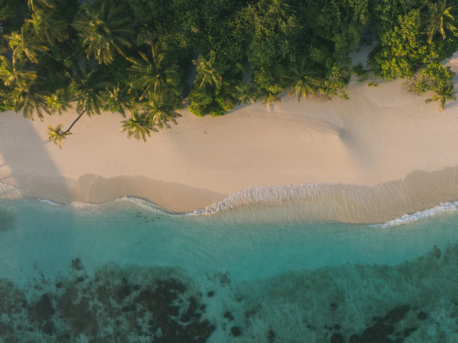 Turquoise coastline and pristine beach from above