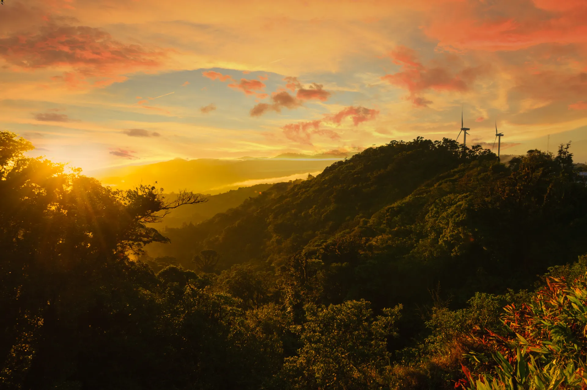 Best Time to Visit Costa Rica