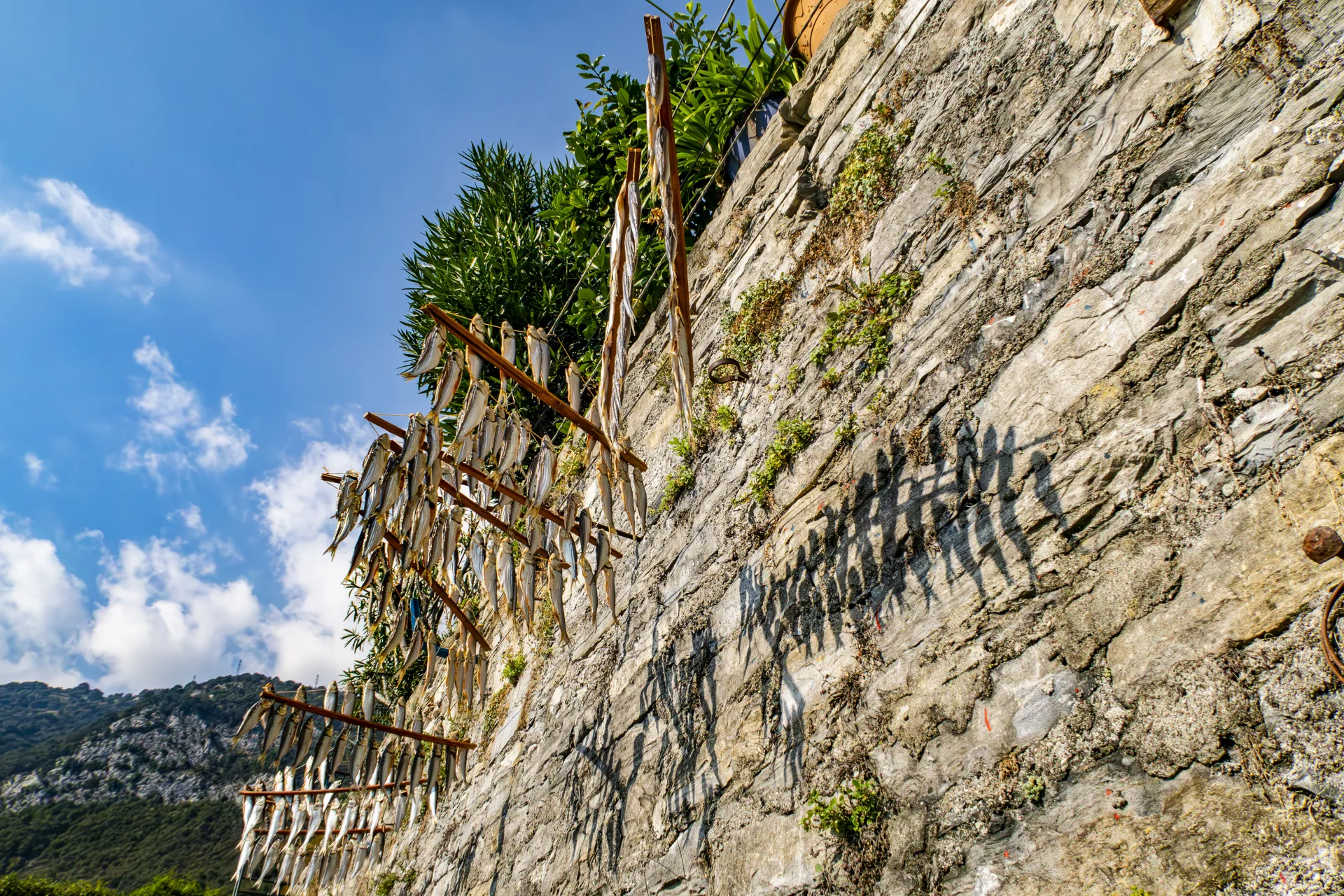Missoltini drying on racks above Lake Como