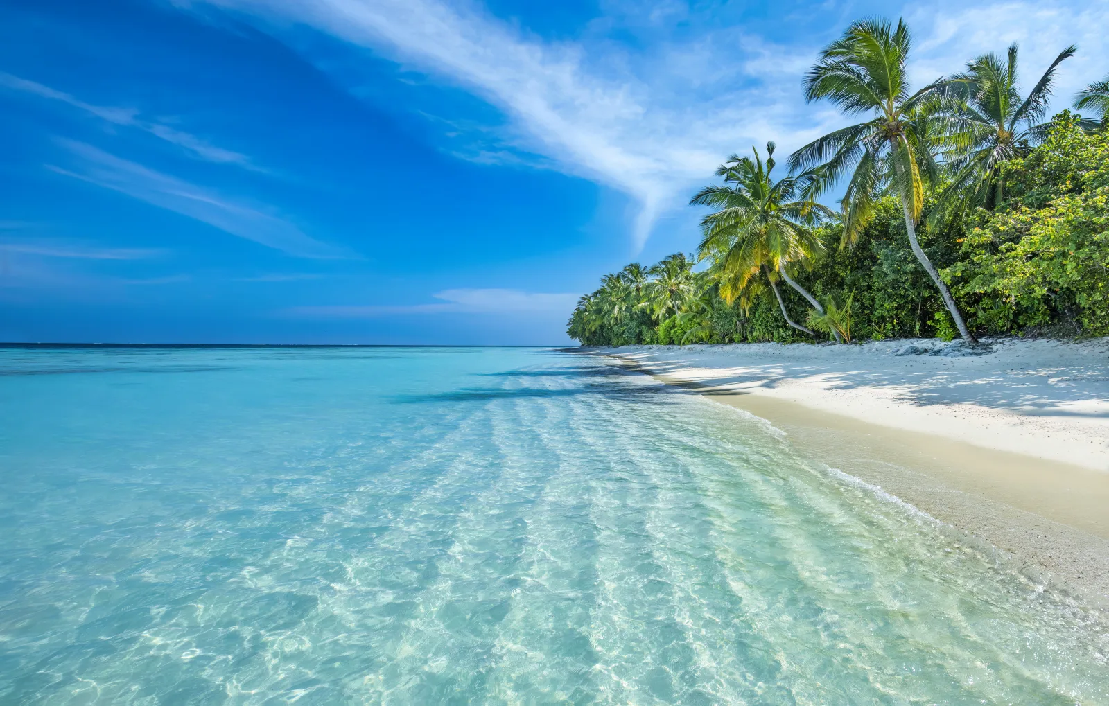 Palm-fringed white sand beach and turquoise shallows in the Maldives