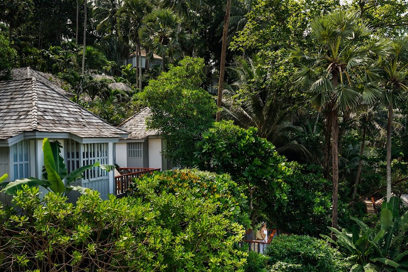 The Surin Phuket, photo from Google